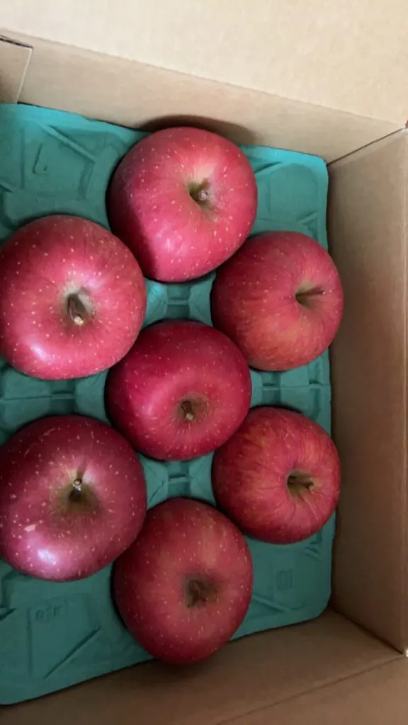 9948アークスの株主優待の紹介です。